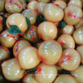 Chinese Exporting Standard Fresh Honey Pomelo